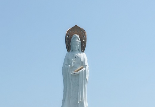 IMG 0057